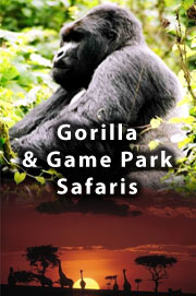 Tours and Safaris in Kenya