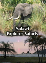 malawi