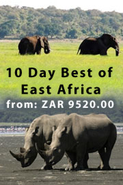 Tours and Safaris in Tanzania