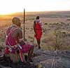 Safaris in Kenya