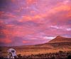Safaris in Namibia