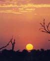 Safaris in South Africa