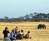 Safaris in Zimbabwe