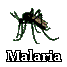 Malaria Information